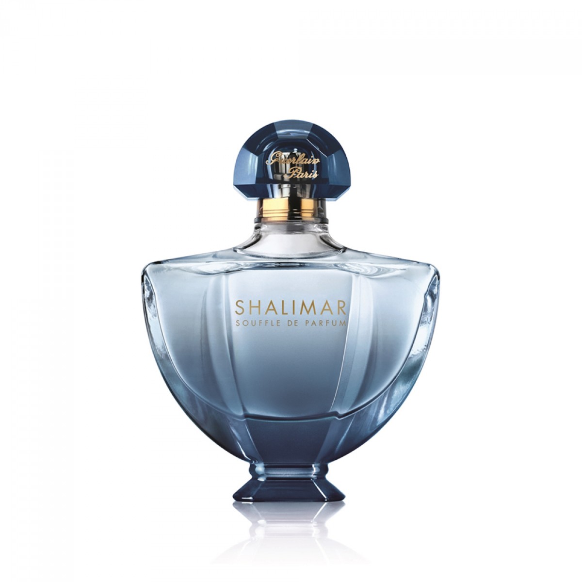shalimar perfume uk